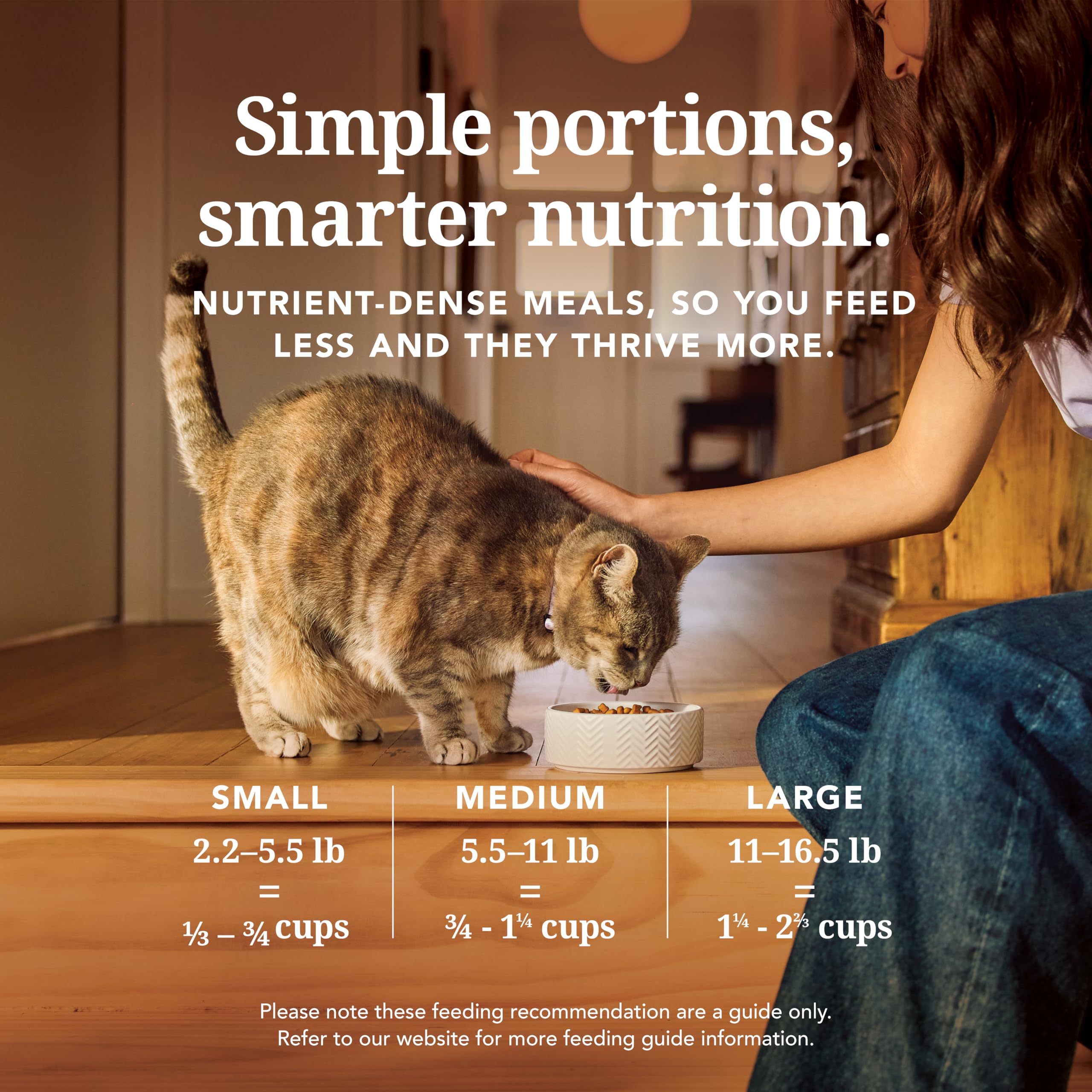 Amazon | フィーラインナチュラル フリーズドライ キャットフード ラム